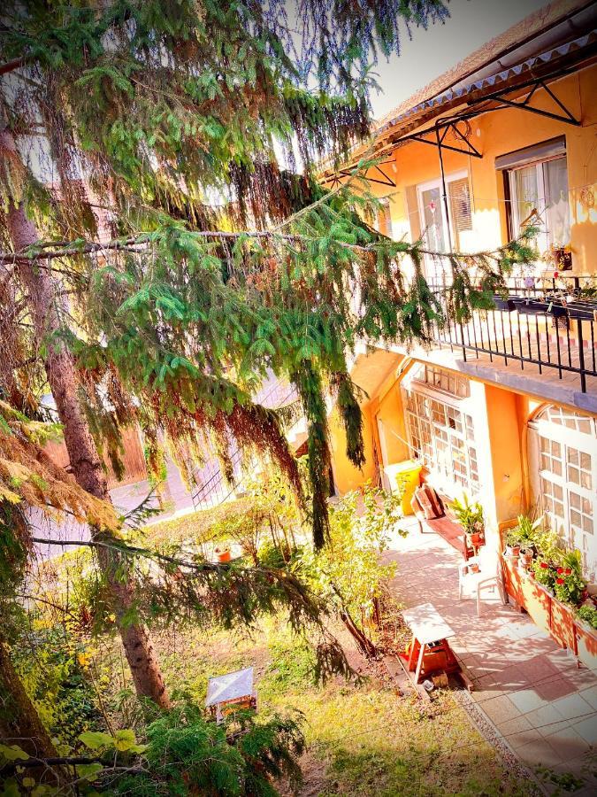 Green Apartman Eger Esterno foto